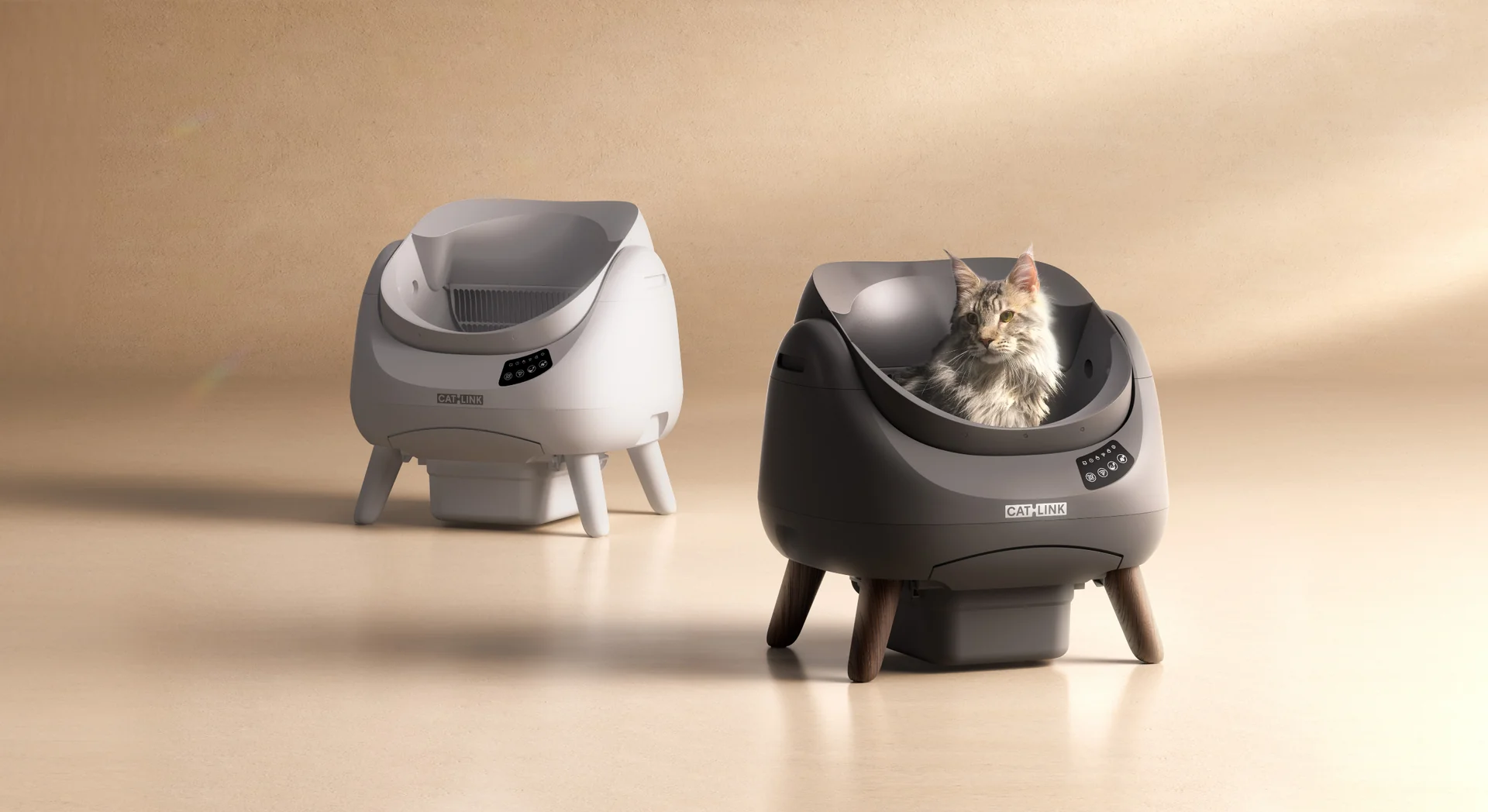 Smart Living for Modern Cats